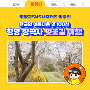 한국의 아름다운 길 100선, 청양 장곡사 벚꽃길 여행