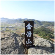 진도 - 금골산(金骨山) 202.2m (240419-15)