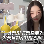 [속옷 추천]A컵이 C컵으로!~ 👙 인생 브라 6가지 소개합니다 Feat. 뽕브라몰 이벤트