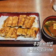 후쿠오카 맛집 장어덮밥 요시즈카 우나기야 평일웨이팅