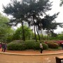 철쭉꽃이 만개한 부평공원
