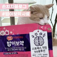 [밥이보약 노스트레스 고양이사료] 내돈내산 안전한 국내 고양이 사료 :: 볼드모트 사료 피하기