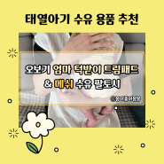 [내돈내산] 태열 아기 여름철 메쉬 수유 팔토시, 인견 엄마 턱받이 트림패드