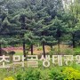 초막골 생태공원 (경기 군포) 240420