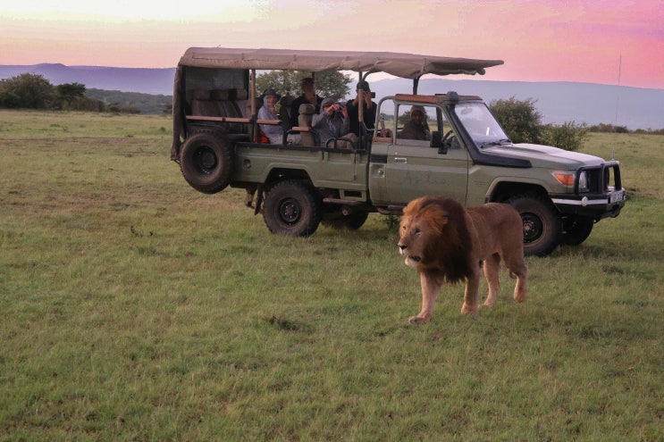 [EBS Power English] 24.4.23 African Safari: My Heart Is in My Throat ...