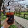 +광주 벚꽃 테라스 카페 + 매월동 호수 뷰 흄