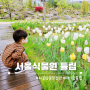 서울식물원 튤립 (입장료, 공원, 주차), 아기랑 서울 경기 갈만한곳