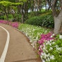 일산 호수공원 국제꽃박람회 (철쭉이 만발)