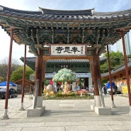 서울 뚜벅이 여행 봉은사 템플스테이 가격 염주 연등 주차 시간 기념품점