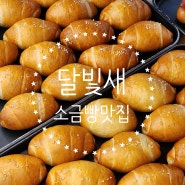 소금빵에 진심인 베이커리ㅣ소금빵 맛집 남양주 대형카페 달빛새베이커리앤카페