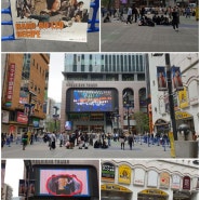 일본 도쿄 신주쿠 카부키초 버스킹 라이브콘서트 日本 新宿 歌舞伎町 音楽会 ㅡ 2024년 봄 春