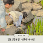 김포 곤충농장 아이랑 서울 근교 자연생태 체험