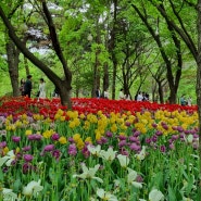 4월 청계천과 서울숲 산책