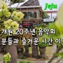 방림원 개원 20주년 음악회 관광객 분들과 즐거운 시간 이였습니다