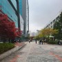 대학교탐방 2번째 이야기, 건대 서울과 인하대 사진들