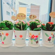 꽃이야나무야 일산 김포 고양 달빛유치원 단체수업 카랑코에 제라늄 꽃심기 반려식물심기 찾아가는 원예체험활동