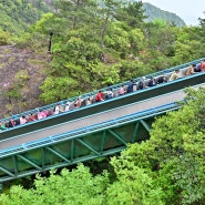 중국 절강성(저장성) 신선거, 등산로 에스컬레이터, 안양 개인택시 한길산악회 트레킹 - 비나리투어
