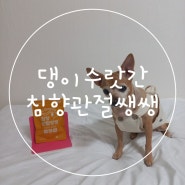 강아지 관절 영양제 - 댕이수랏간 침향 관절 쌩쌩