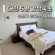 대전 감성숙소추천 은하수디앤엠 5인 청초셋 숙박 장단점 후기