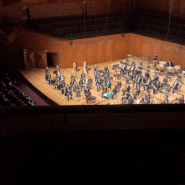 2024 교향악축제 ㅣ 부산시립교향악단 ㅣ 키릴 카라비츠 ㅣ 문태국 첼리스트