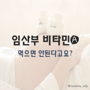 임산부 비타민A 먹으면 안된다고요? 비타민A 섭취 및 계산 방법