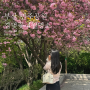 2024 부산 민주공원 겹벚꽃 명소 실시간 개화상황, 주차, 포토존 꿀팁