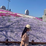 경남 산청 생초 국제조각공원 꽃잔디 축제