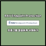 RAV Endpoint Protection 깔끔하게 삭제하는 방법 최신