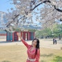 서울 단기렌트카 : 편도카셰어링 리턴프리 투루카 이용 요금 + 방법