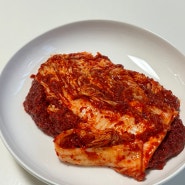 [조풍연매운실비김치] 매운김치 매니아라면 꼭 먹어봐야할 대전실비집 조풍연김치!