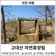 [연천 여행] 고대산 자연휴양림 후기 : 경기 북부 신축 자연휴양림, 서울 근교 자연휴양림