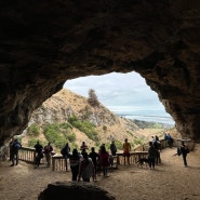 🇳🇿 뉴질랜드 워홀 D+116(1) :: 리틀턴 바넷 파크 케이브 (Barnett Park Cave) 트레킹