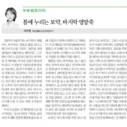 [ 한국일보 / 이주현의 맛있는 음식 인문학] 14.<봄에 누리는 보약, 바지락 영양죽 > / 푸드 칼럼니스트 이주현