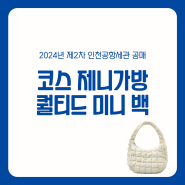 코스 퀄티드 미니 구름백 스톤 제니가방 인천공항 세관공매