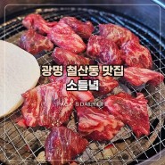 광명 철산동 맛집 소고기 맛있는 고기집 소들녘