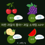 MBTI 대신 프루팅) 같은 과일끼리 플러팅, 과일 소개팅 앱(ft. [프루팅 Fruiting App] 리뷰)