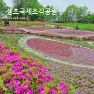 산청 생초국제조각공원 꽃잔디 축제기간 및 주차장