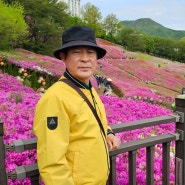 1호선-4호선 타고 군포 철쭉 봄꽃 여행하다