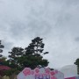 경기 군포 철쭉 축제 댕겨왔어유!(4/20~28)철쭉동산,초막골생태공원!