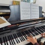 [창원반림동] 성인 피아노, 바이올린 등 악기 레슨 추천, 비르투오소