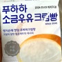 “푸하하 크림빵” 빵지순례 맛집인 곳이 세븐일레븐에