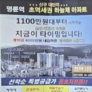 명륜동 전단지 배포/ 하늘채 아파트 분양, 25년 경력 업체