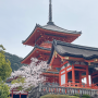 [두 번째 교토·오사카 여행 4] 청수사 기요미즈데라 벚꽃 + 산넨자카/니넨자카 쇼핑.