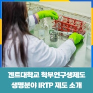 겐트대학교 학부연구생 인턴십 제도 IRTP 소개