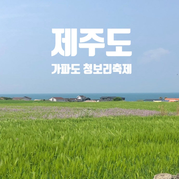 가파도 청보리축제 기간 운진항 주차 배시간 입장료 예약방법 : 네이버 블로그