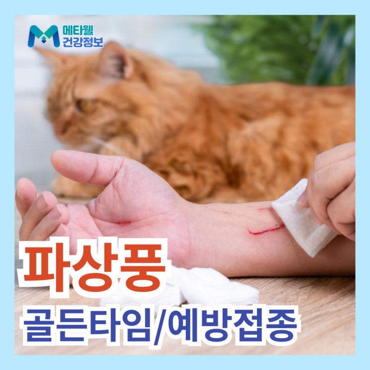 파상풍 초기증상, 예방접종 했으면 괜찮을까? 치료 골든타임 잠복기 주사 : 네이버 블로그