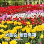 서울숲 튤립축제 위치 개화상황