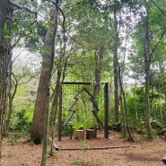 제주 산책하기 편안한곳 서귀포 치유의숲 제주 숲길산책