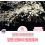 [벚꽃명소]김천 가볼만한곳 연화지 벚꽃축제 방문후기(2024.04.07.방문)