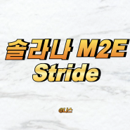 솔라나 신규 M2E Stride 프리민트 참여